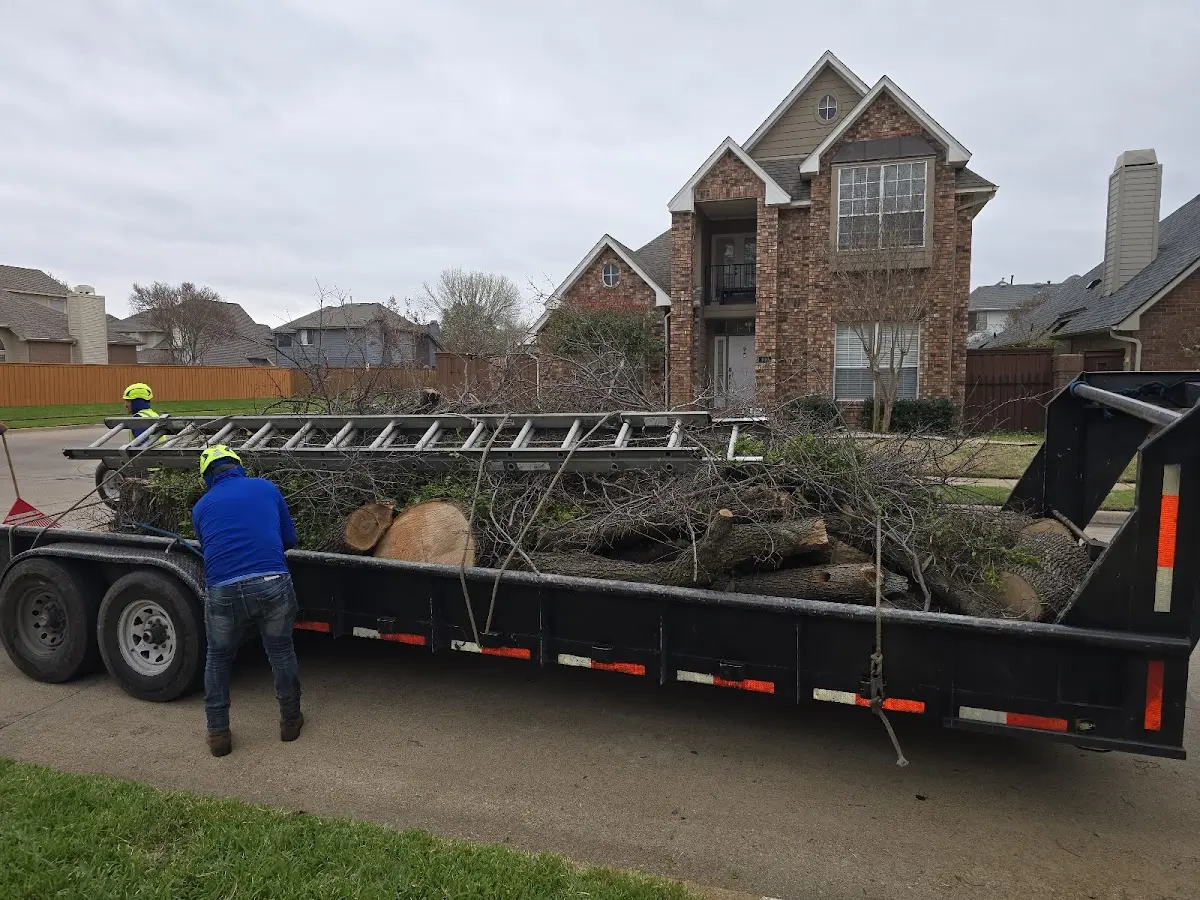 Expert Lot Clearing with proper safety equipment in Florahome